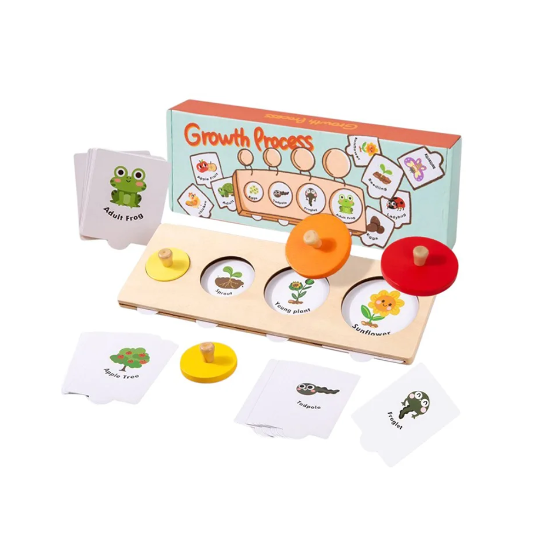 Wooden Growth Process Puzzle Set | Learn Life Cycles Through Play | Build Observation & Thinking Skills | Ages 3+