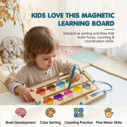 Magnetic Color Sorting Math Board | Smart Learning Through Play | Ages 3+