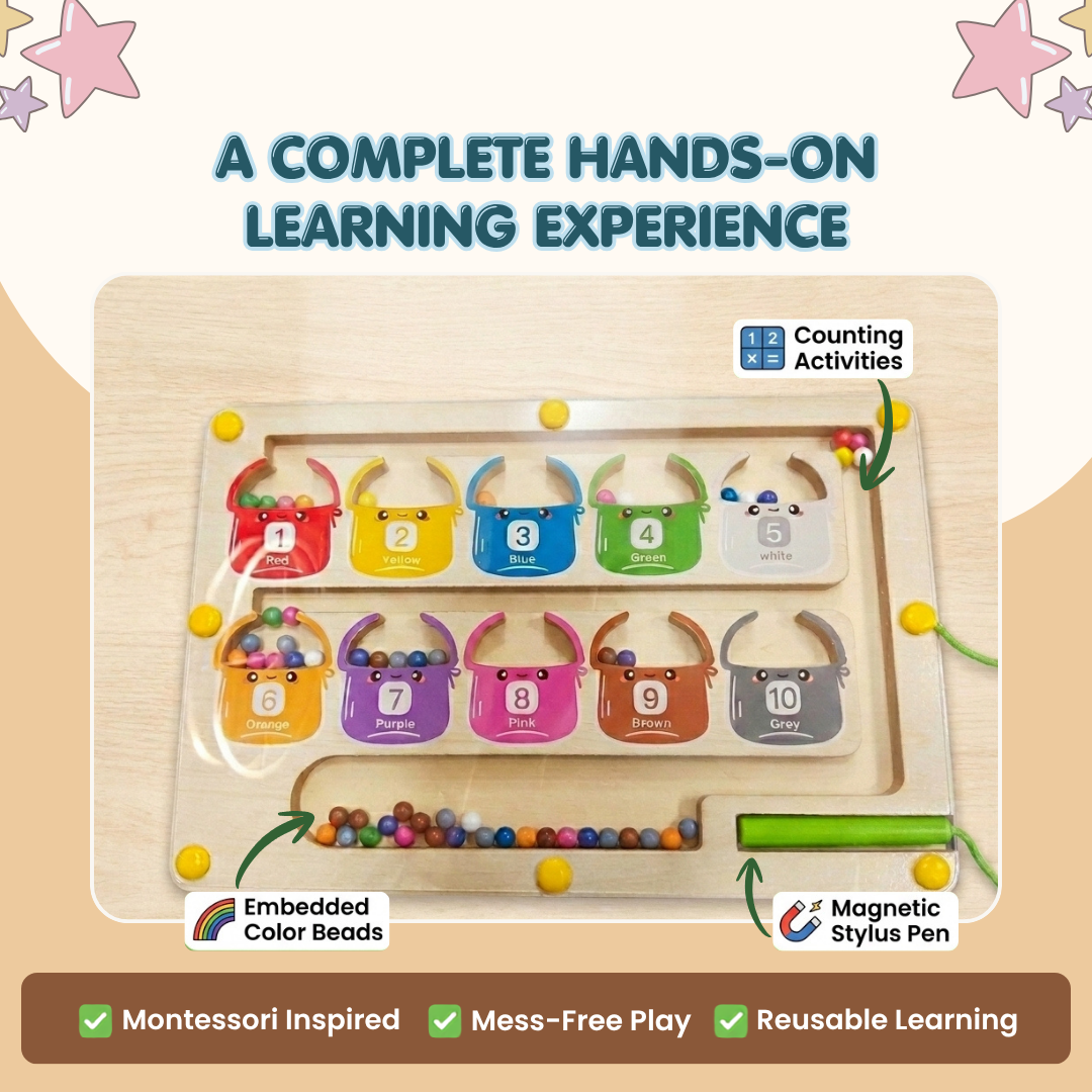 Magnetic Color Sorting Math Board | Smart Learning Through Play | Ages 3+
