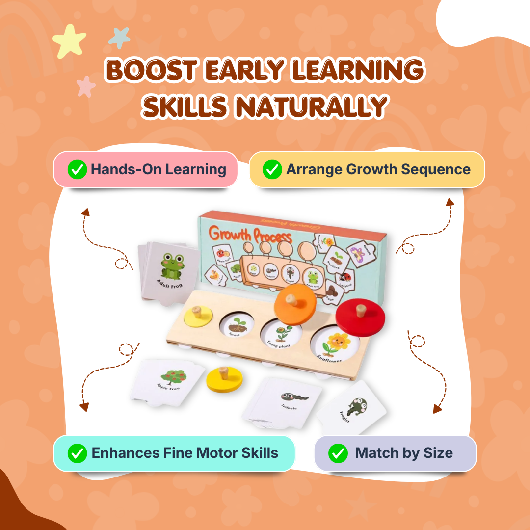 Wooden Growth Process Puzzle Set | Learn Life Cycles Through Play | Build Observation & Thinking Skills | Ages 3+