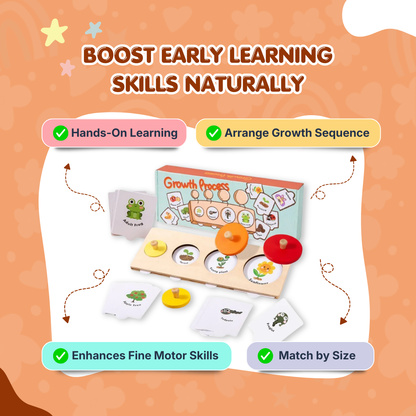 Wooden Growth Process Puzzle Set | Learn Life Cycles Through Play | Build Observation & Thinking Skills | Ages 3+