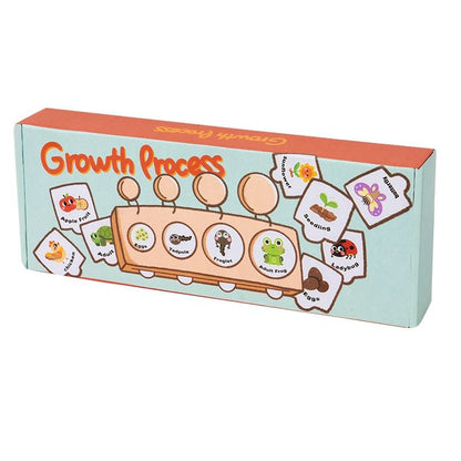 Montessori Wooden Growth Process Learning Puzzle Set