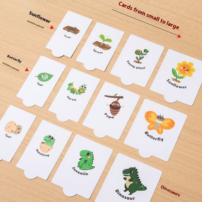 Montessori Wooden Growth Process Learning Puzzle Set