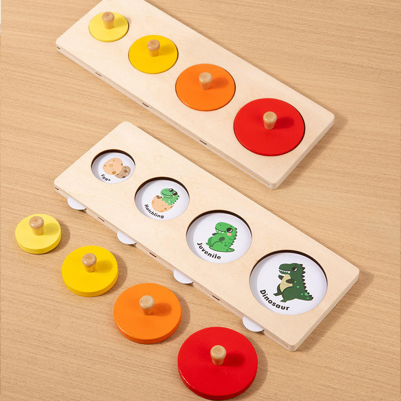 Montessori Wooden Growth Process Learning Puzzle Set