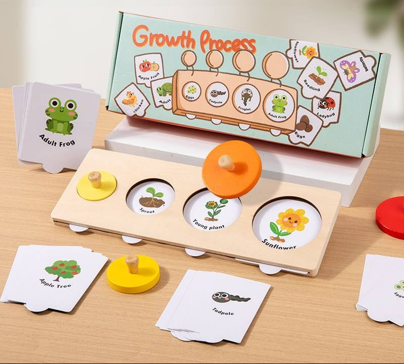 Montessori Wooden Growth Process Learning Puzzle Set