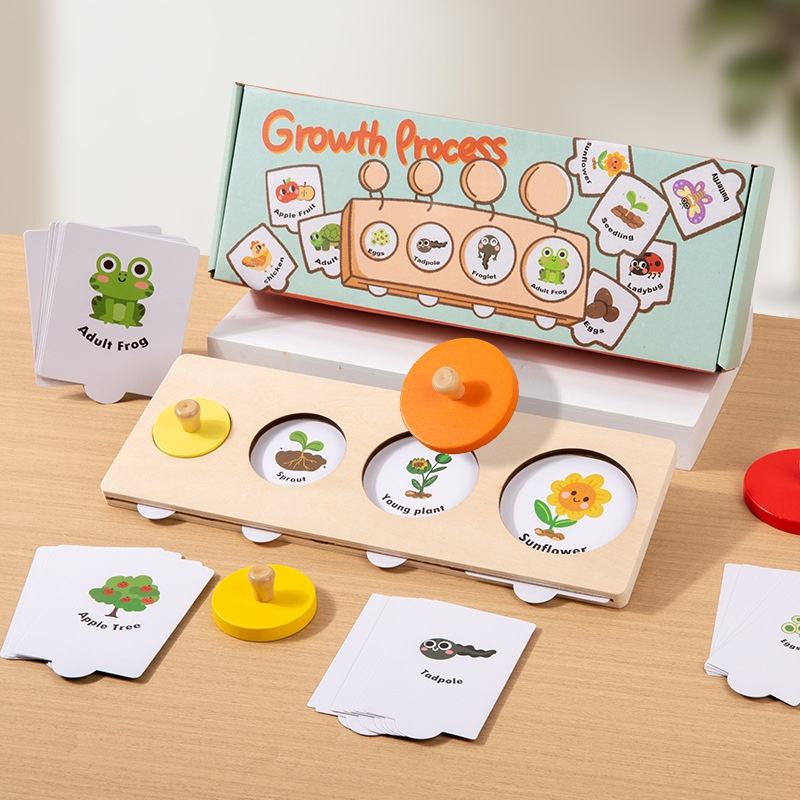 Montessori Wooden Growth Process Learning Puzzle Set