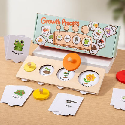 Montessori Wooden Growth Process Learning Puzzle Set